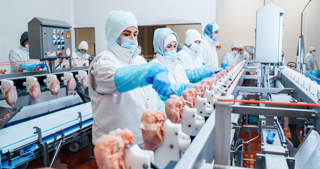 Food processing and meat slaughtering